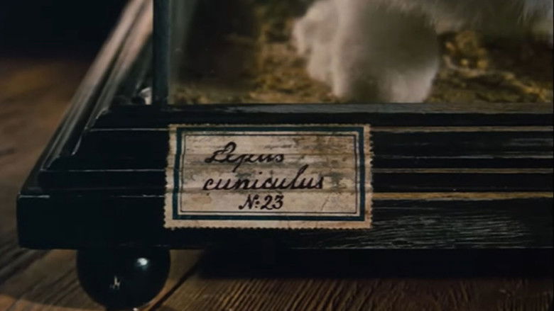 кадр из фильма Алиса