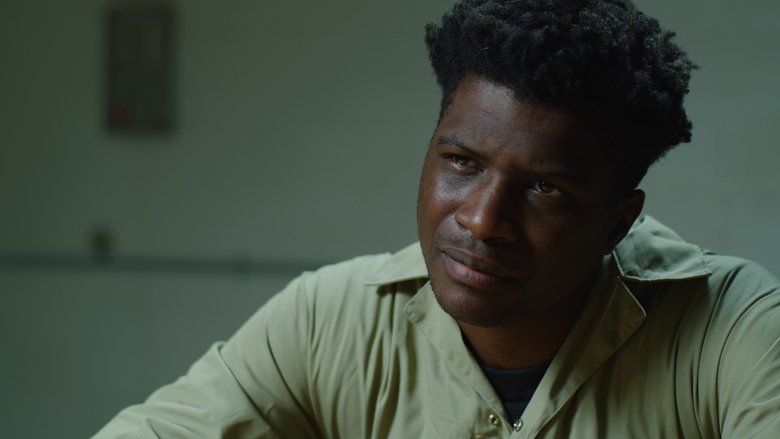 кадр из фильма The Rhythm