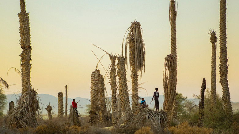 кадр из фильма Meymoon