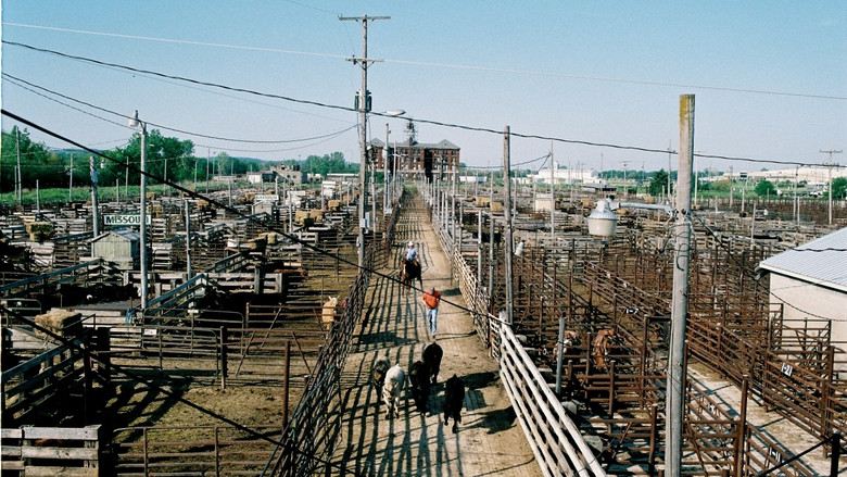 кадр из фильма Devil's Rope