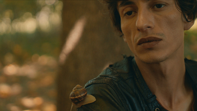 кадр из фильма Salyangoz Odasi