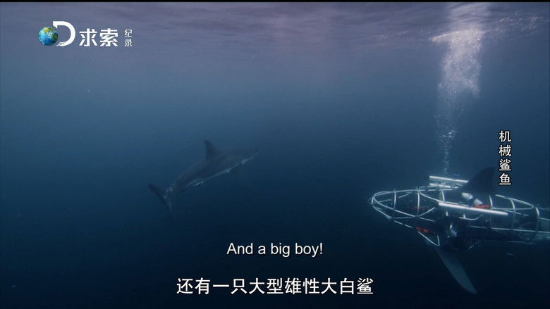 Mechashark: Love Down Under