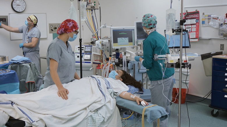 кадр из фильма The Wounds Within: An Endometriosis Story