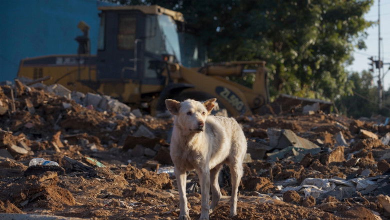 кадр из фильма When I Came to Your Door