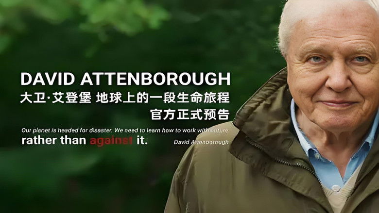 кадр из фильма David Attenborough: A Life on Earth
