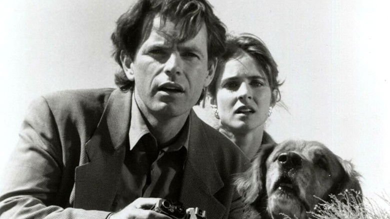 кадр из фильма The Great Pretender