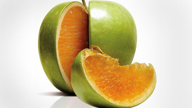 кадр из фильма Freakonomics