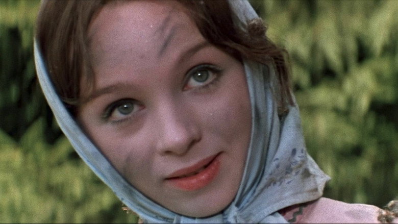 кадр из фильма Огонь, вода и медные трубы