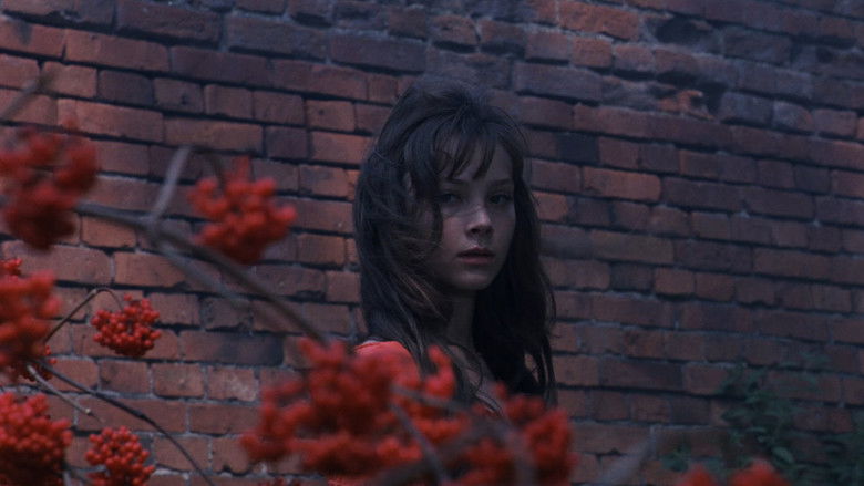 кадр из фильма Мой ласковый и нежный зверь