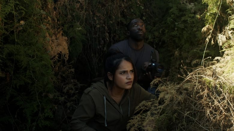 кадр из фильма Fighting Olympus