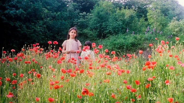 кадр из фильма Uova di garofano