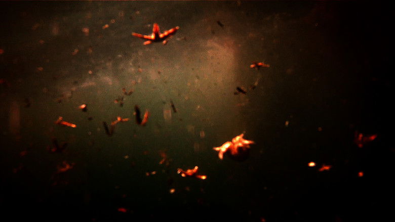 кадр из фильма Левиафан