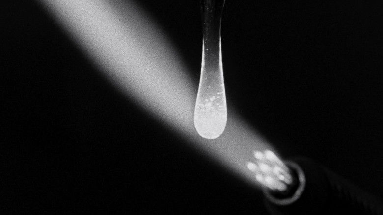 кадр из фильма โลคอลเซนเซชันส์