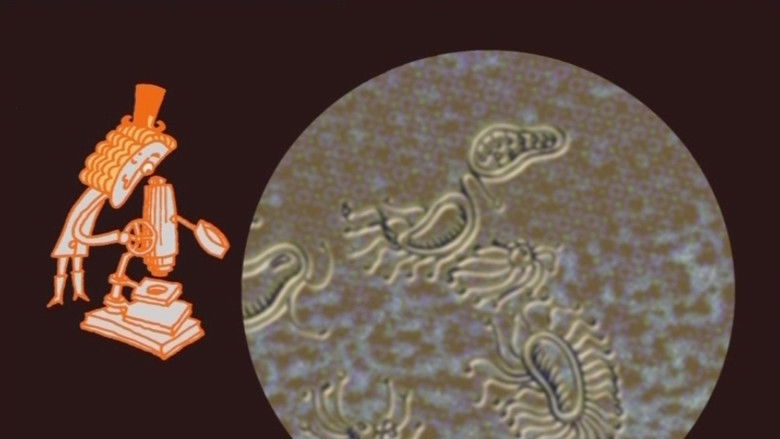 кадр из фильма Le petit vélo dans la tête