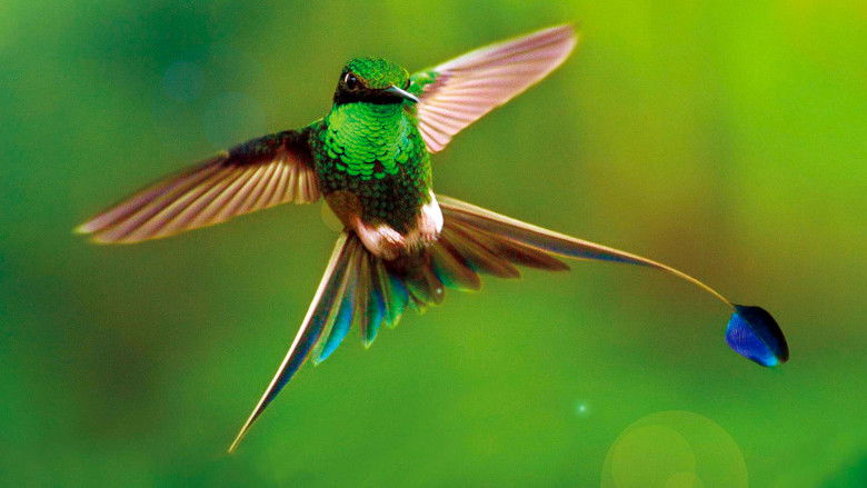 кадр из фильма Земля: Один потрясающий день