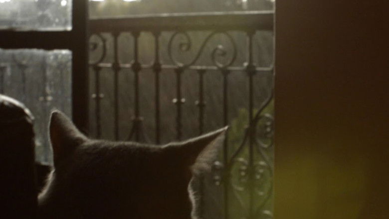 кадр из фильма Cuando Está Lloviendo y Eso