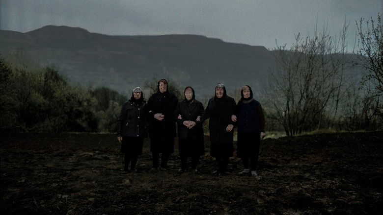 кадр из фильма Сунце никад више