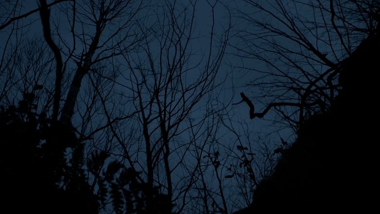 кадр из фильма Here Lies Daniel