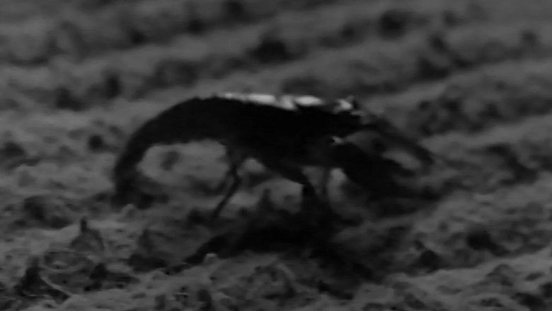 кадр из фильма The Cornshukker