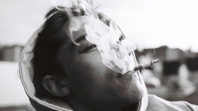 кадр из фильма Amos, Vogel