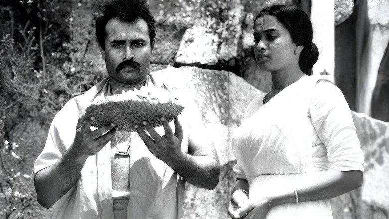නිධානය