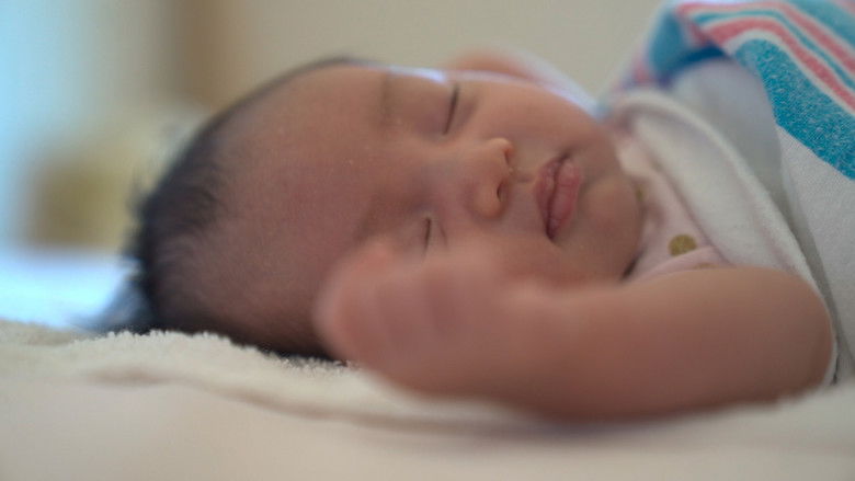 кадр из фильма Dear Lily