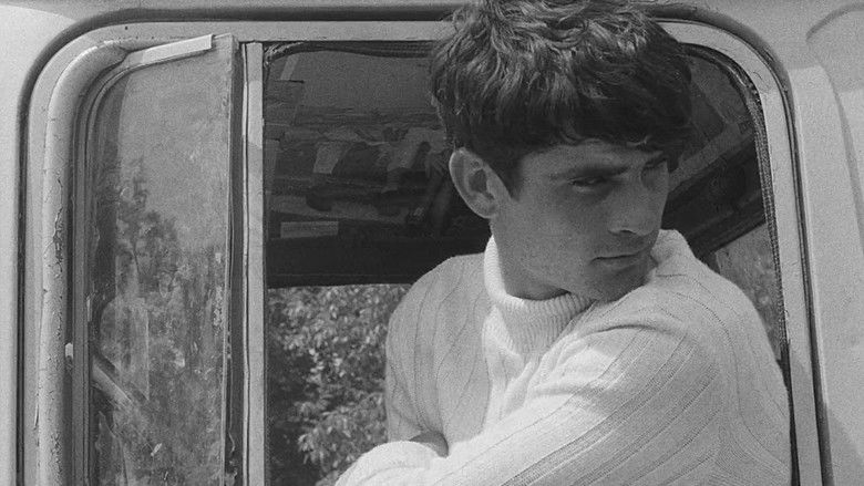 кадр из фильма Viața în roz