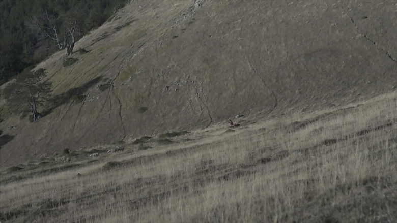 кадр из фильма Medvedek