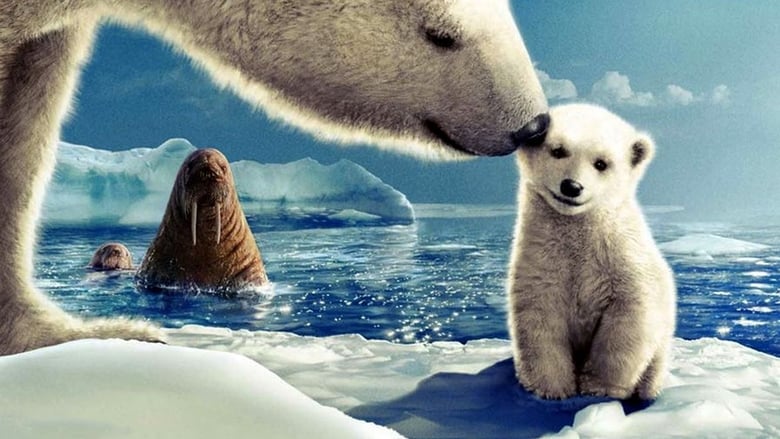 кадр из фильма Arctic Tale