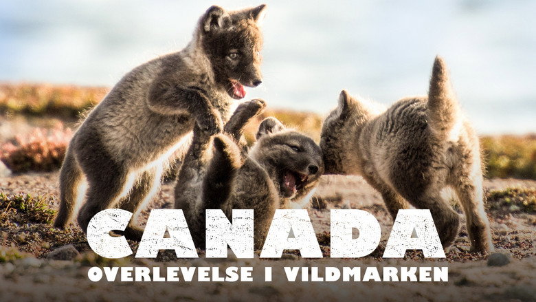 кадр из фильма Canada: Surviving the Wild North
