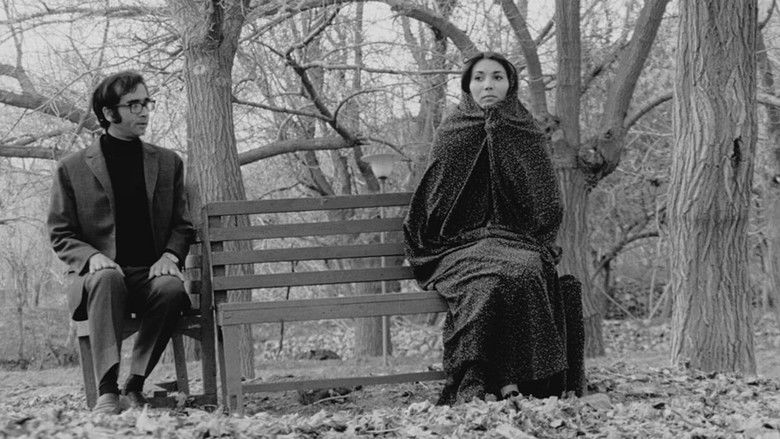 кадр из фильма Ливень