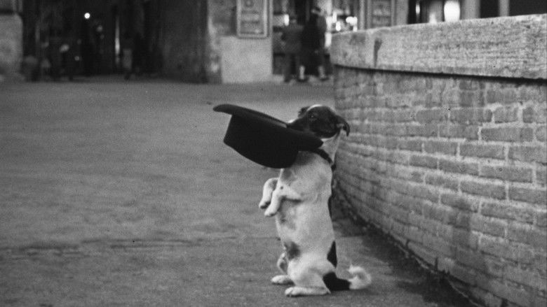 кадр из фильма Умберто Д.