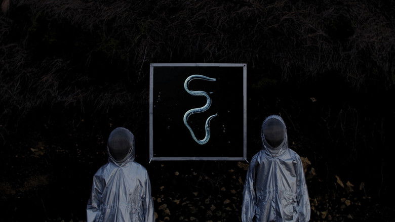 кадр из фильма STRATA INCOGNITA