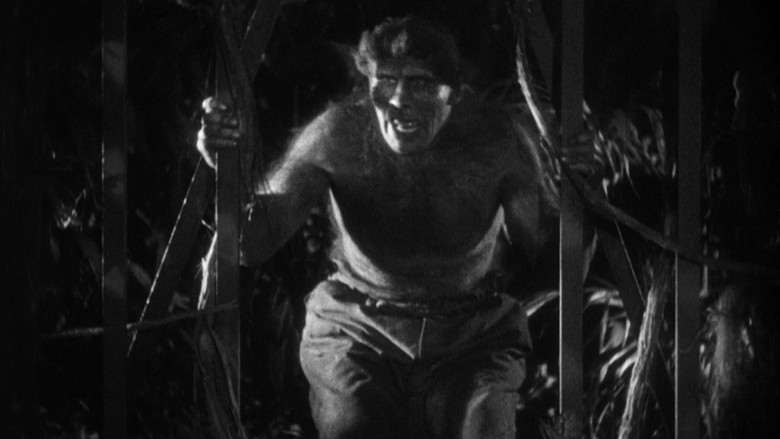 кадр из фильма Остров потерянных душ