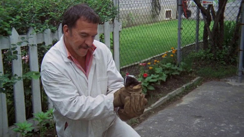 кадр из фильма O.K.... Laliberté