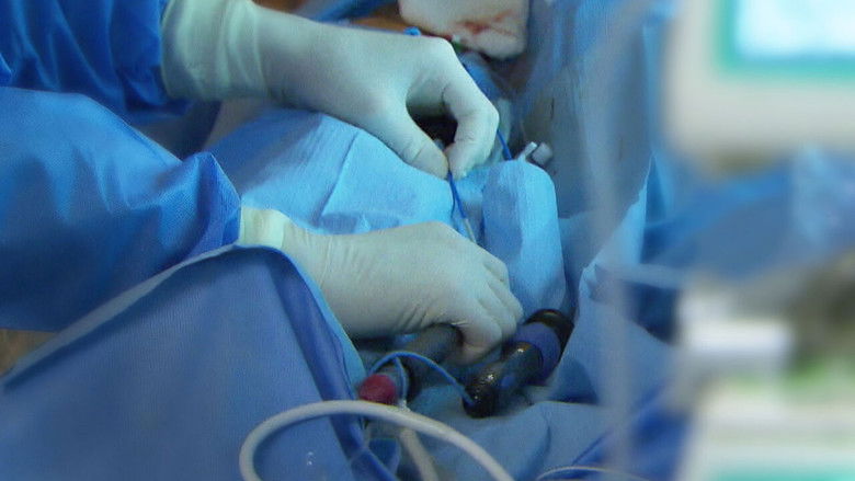 Human Hearts: The Engine of Life