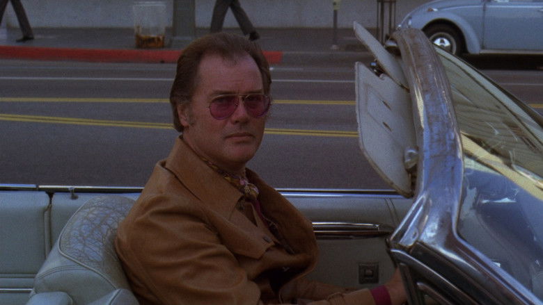 кадр из фильма Гарри и Тонто