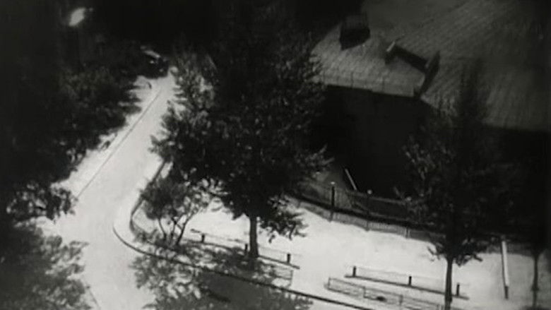 кадр из фильма Everything Flows - interval