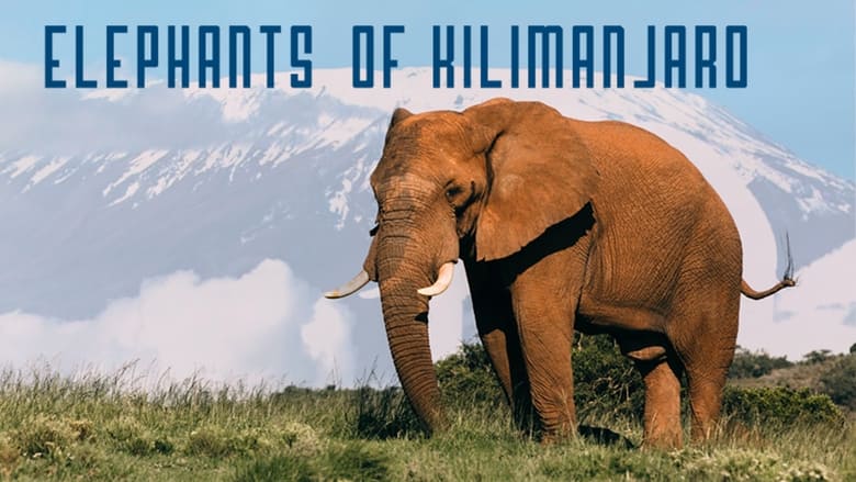 кадр из фильма Elephants of Kilimanjaro