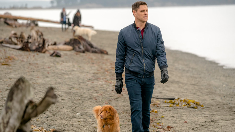 кадр из фильма Walking the Dog