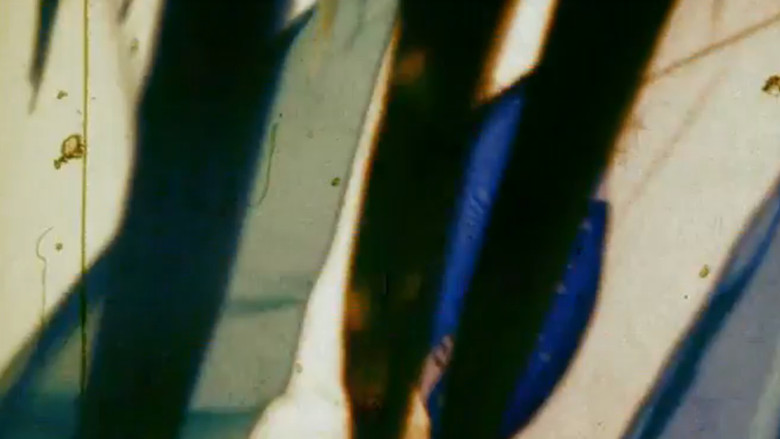 кадр из фильма Nosferato no Brasil