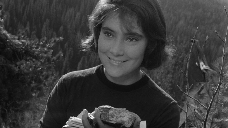 кадр из фильма Неотправленное письмо