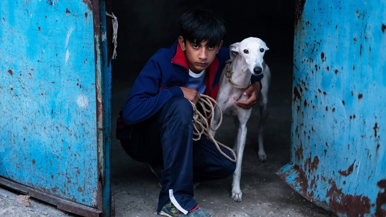 кадр из фильма Ciudad sin sueño