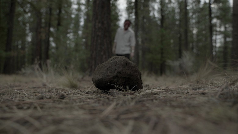 кадр из фильма Sincerely, Victor