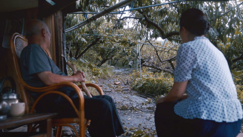 кадр из фильма 高山上的熱氣球