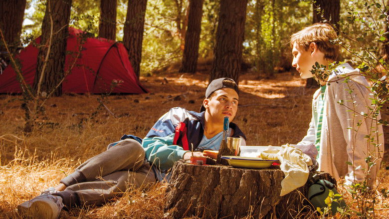 кадр из фильма Мой лучший друг