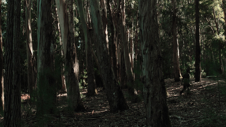 кадр из фильма Onde dormen as gaivotas