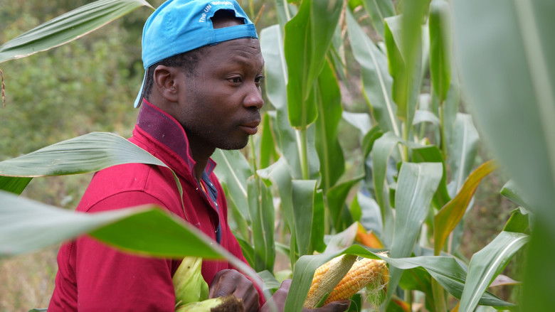 кадр из фильма Թեղուտցի Սիլվենը