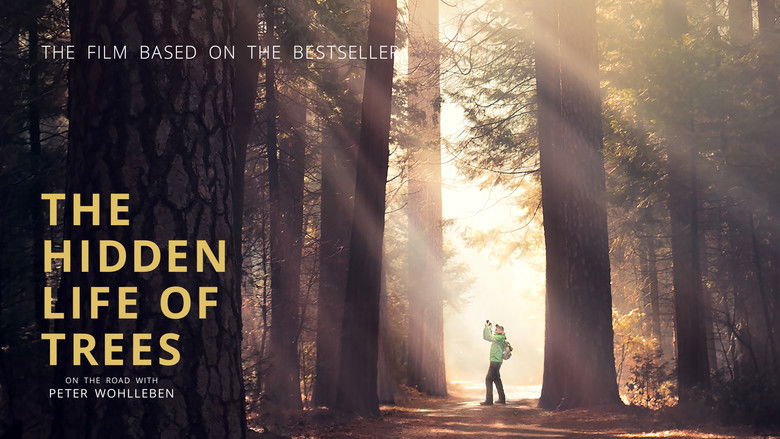 кадр из фильма Das geheime Leben der Bäume