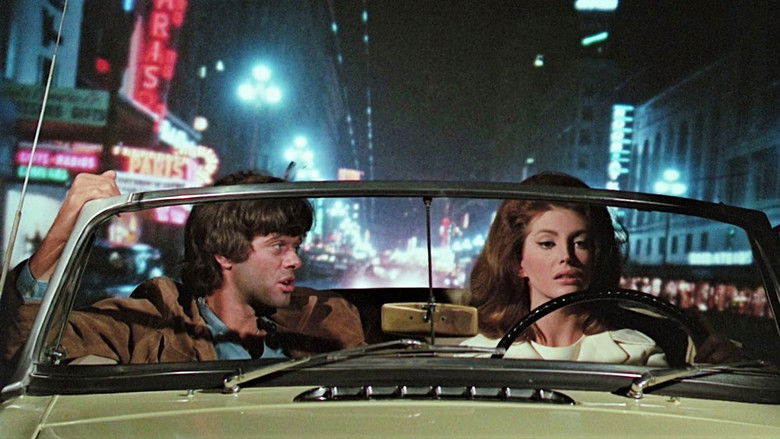 кадр из фильма Eye of the Cat